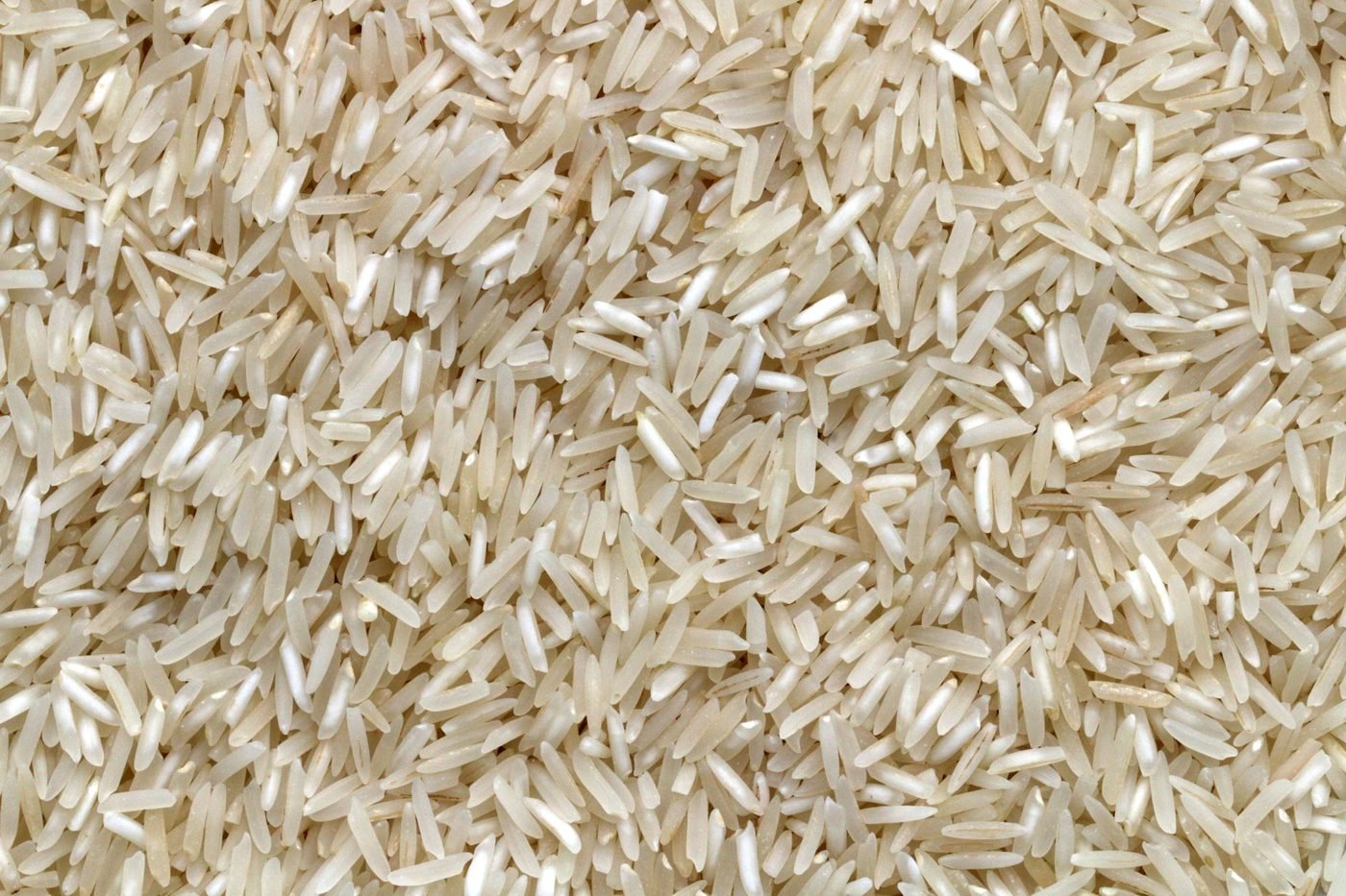 Close-up of rice grains
